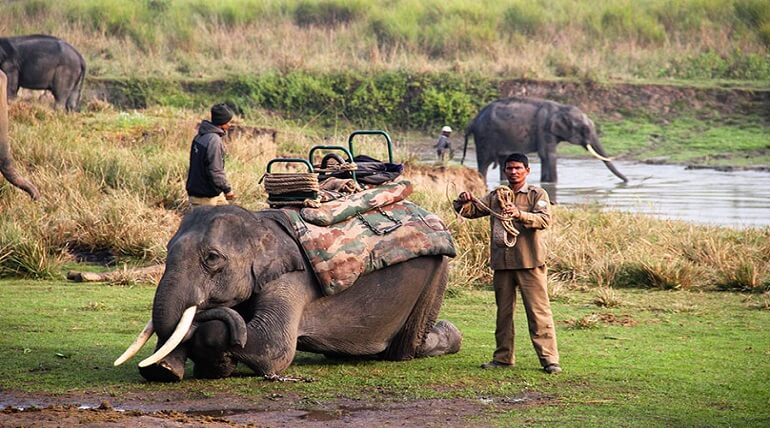 homestays-in-jim-corbett-Uttarakhand-india